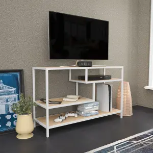 Decorotika Robins TV Stand TV Unit TV Cabinet for TVs up to 55 inches