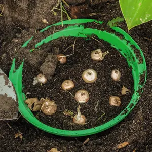 Bulb Planting Basket x 1 - Easy to Use