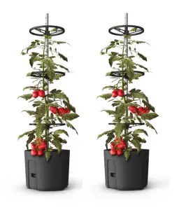 Self-watering Tomato Pot, trough, planter - extendable trellis - with Vermiculite - 290mm dia, 1090mm tall, 14L - Twin Pack