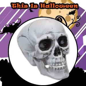 Large Skull Decoration with Moving Jaw Trick or Treat Party 19cm White