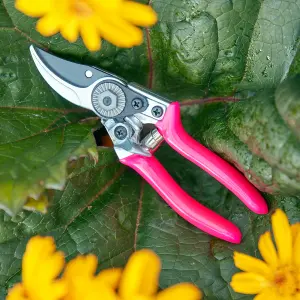 Burgon & Ball Florabrite Neon pink Bypass Pruner