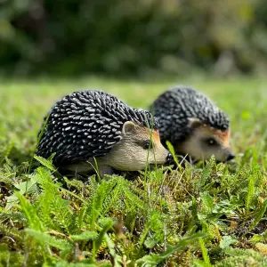 Hoglet Baby Hedgehog Resin Garden Ornament (Set of 2)