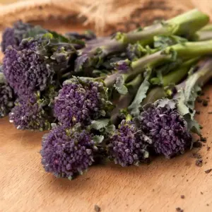 Broccoli Purple Sprouting 3 Seed Packets