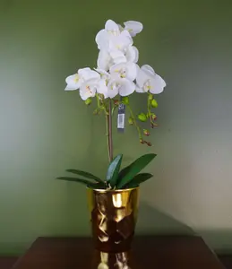 54cm Artificial Orchid Plant - White with Gold Pot