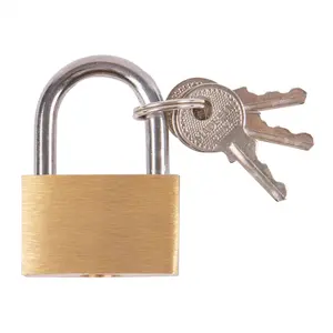 Blackspur - Brass Padlock - 2.5cm