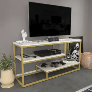 Decorotika Lorin TV Stand TV Unit for TVs up to 55 inch