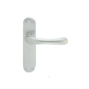 Ibra Latch Door Handle (Set of 2) Brass