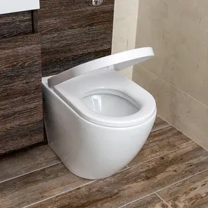 Isaac Back to Wall Toilet with Soft Closing Seat