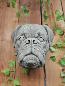 Boxer Dog Head Stone Wall Plaque