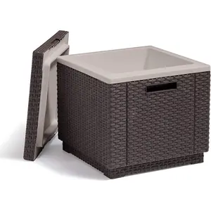 5 L mini Cooler Brown