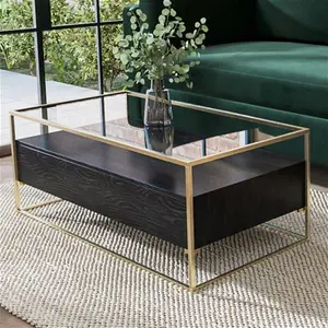 Rectangular Black And Gold Glass Top Coffee Table With Storage - Akila