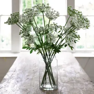 Bloom Artificial Single White Cow Parsley Stem - Faux Fake Silk Flower Indoor Home Decoration Floral Arrangements - Measures L65cm