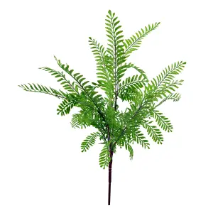 55cm Himilayan Maidenhair Fern Bush Light Green Plant