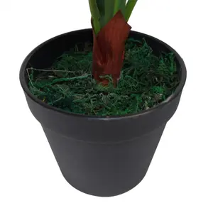 60cm Bushy Large Artificial Bird's Nest Fern Plant