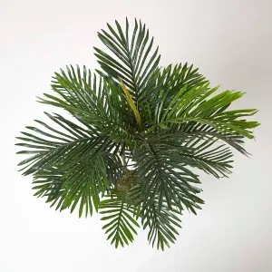 Homescapes Multi Stem Green Palm Tree in Pot, 120 cm