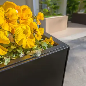 75cm Long Zinc Galvanised Matte Black 90cm Tall Trough Planter