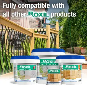 Roxil 100 Green Mould, Algae & Lichen Killer - 500ml - Restore the appearance of your Patio, Deck, Fence or Paving