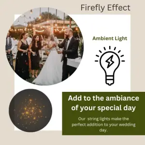 Firefly Festoon - White, 20 Waterproof LED Festoon Lights Outdoor, Indoor Outdoor Globe String Lights