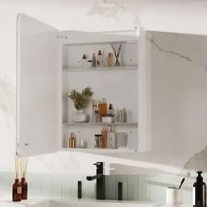 LED Wall Bathroom Mirror Cabinet Lighting Adjustable Shelves Storage Cupboard with Shaver Socket 700x500 mm