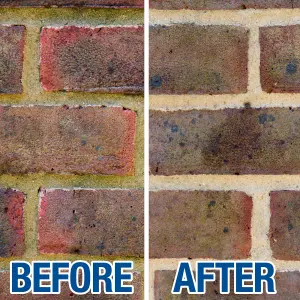 Soluguard Multi Surface Biocide (5L) Fungi, Mould & Algae Cleaner on Walls, Brick, Render, Stone, Concrete, Driveway, Roof