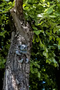 Koala Tree Peeker Garden Ornament