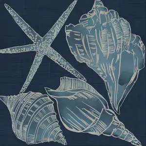 Marine Shells III 76cm H x 76cm W