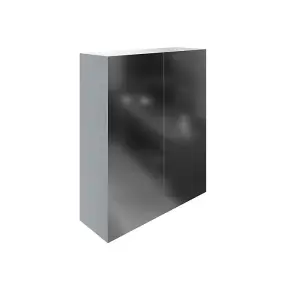 Dezine Trent 500mm Gloss Grey Mirror Unit, 2 Door