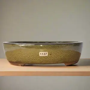 26cm Glazed Bonsai Pot - Oval - 26cm x 22cm x 6cm - Green