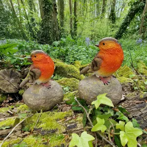 Robin on a Stone Resin Garden Ornaments (Set of 2)