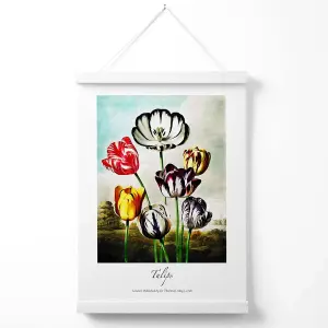 Vintage Floral Exhibition -  Tulip Flowers Poster with Hanger / 33cm / White