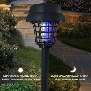 Ana-Veronica Black Low Voltage Solar Powered Integrated LED Pathway Light Pack (Set of 2)