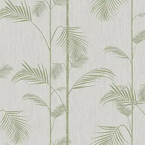 Galerie Ted Baker Eden Metallic Silver/Green Carmel Bamboo Leaf Wallpaper Roll