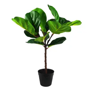 60cm Artificial Fiddle Fig Plant