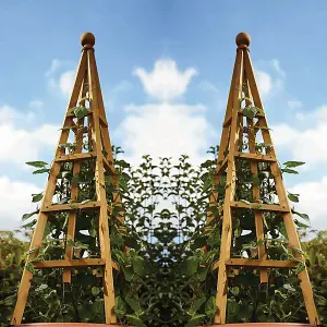 2 x Smart Garden Tan Wooden Woodland Obelisk 1.9m Plant Support Pine Pergola