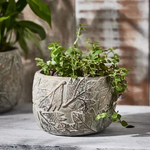 Set of 2 Contemporary Grey Leaf Embossed Small Flower Pots Planter Indoor Outdoor Garden Plant Pots