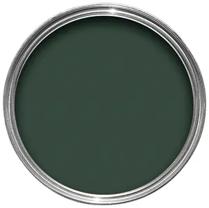 Hammerite Wild thyme Gloss Exterior Metal paint, 750ml