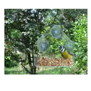 Wild Bird Transparent Window Bird Feeder