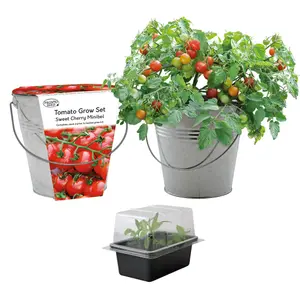 Pronto Seed Cherry Tomato Growing Kit with Bucket Planter & Tomato Seeds - Garedning Gifts for Women & Men