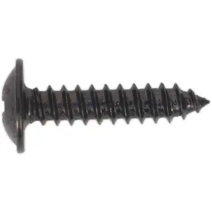 100 PACK 4.2 x 19mm Self Tapping Black Screw - Flanged Pozi Head - Fixings Screw