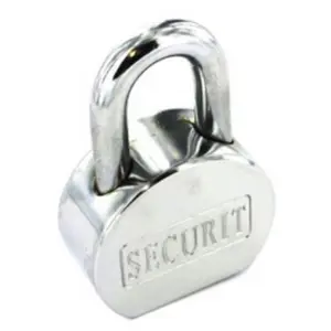 Securit Padlock Silver (One Size)