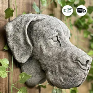 Adorable Great Dane Head Stone Wall Plaque