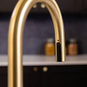 Flode Dolja Kitchen Sink Mixer with Concealed Pull Out Hose and Spray Head Brushed Brass