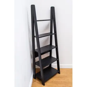 Arelious Ladder Bookcase Black