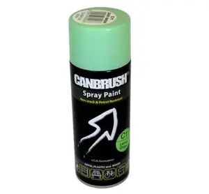 Canbrush Paint for Metal Plastic and Wood (C11 Surf Green)