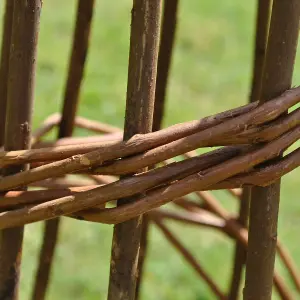 Spiral Willow Garden Obelisk (1.2m)