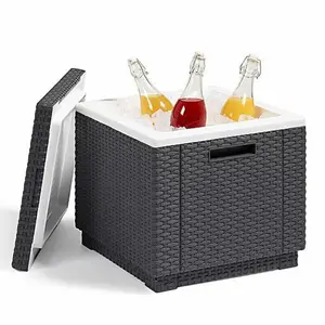 Allibert Ice Cube Cooler Black