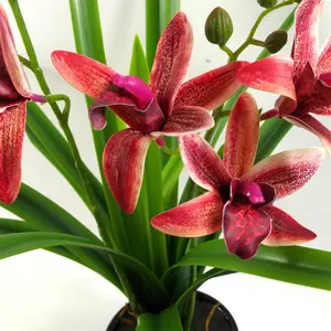 50cm Dark Pink Artificial Orchid in Ceramic Planter