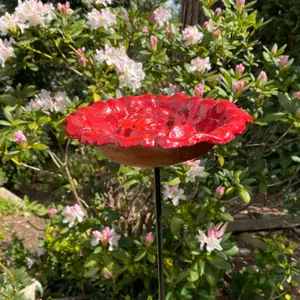 Cast Iron Wild Bird Rose Flower Dish Bird Feeder