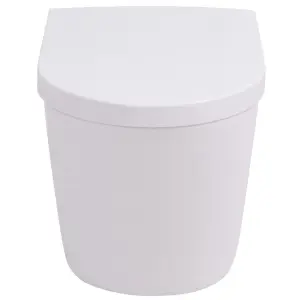 Berkfield Wall Hung Toilet Ceramic White