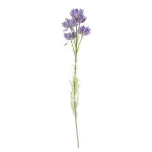 Pack of 6 x 60cm Purple Starflower Stem - 5 Flowers